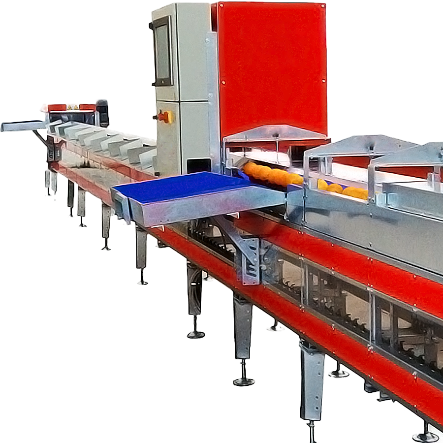 Fruit / Vegetable Sorters