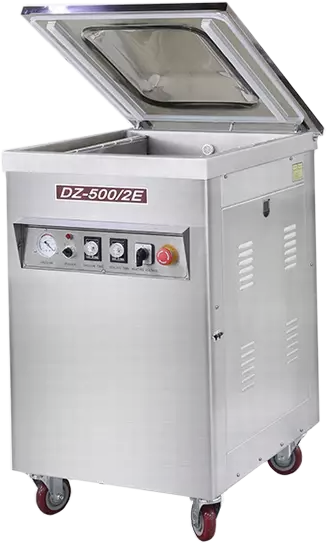 Μηχανή συσκευασίας τροφίμων σε κενό αέρος DZ-500/2E